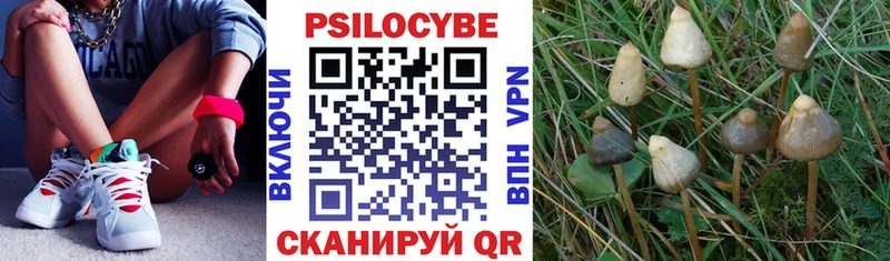 Галлюциногенные грибы ЛСД  Фёдоровский 